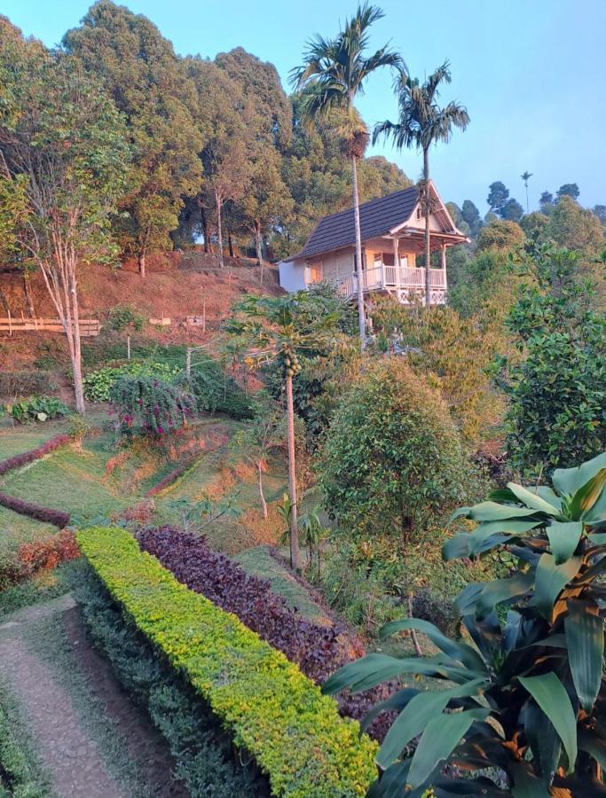 Bed and Breakfast Garden Terrace Bali à Gobleg  Extérieur photo