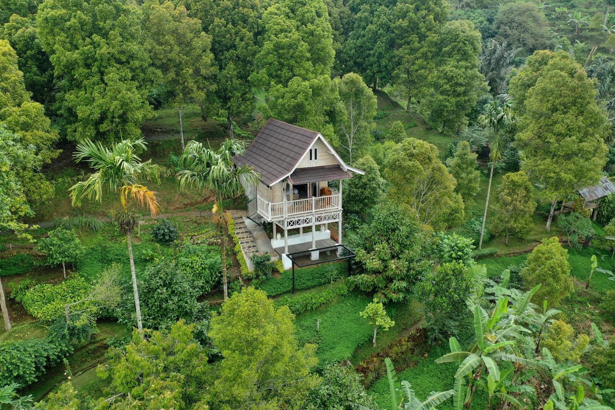 Bed and Breakfast Garden Terrace Bali à Gobleg  Extérieur photo