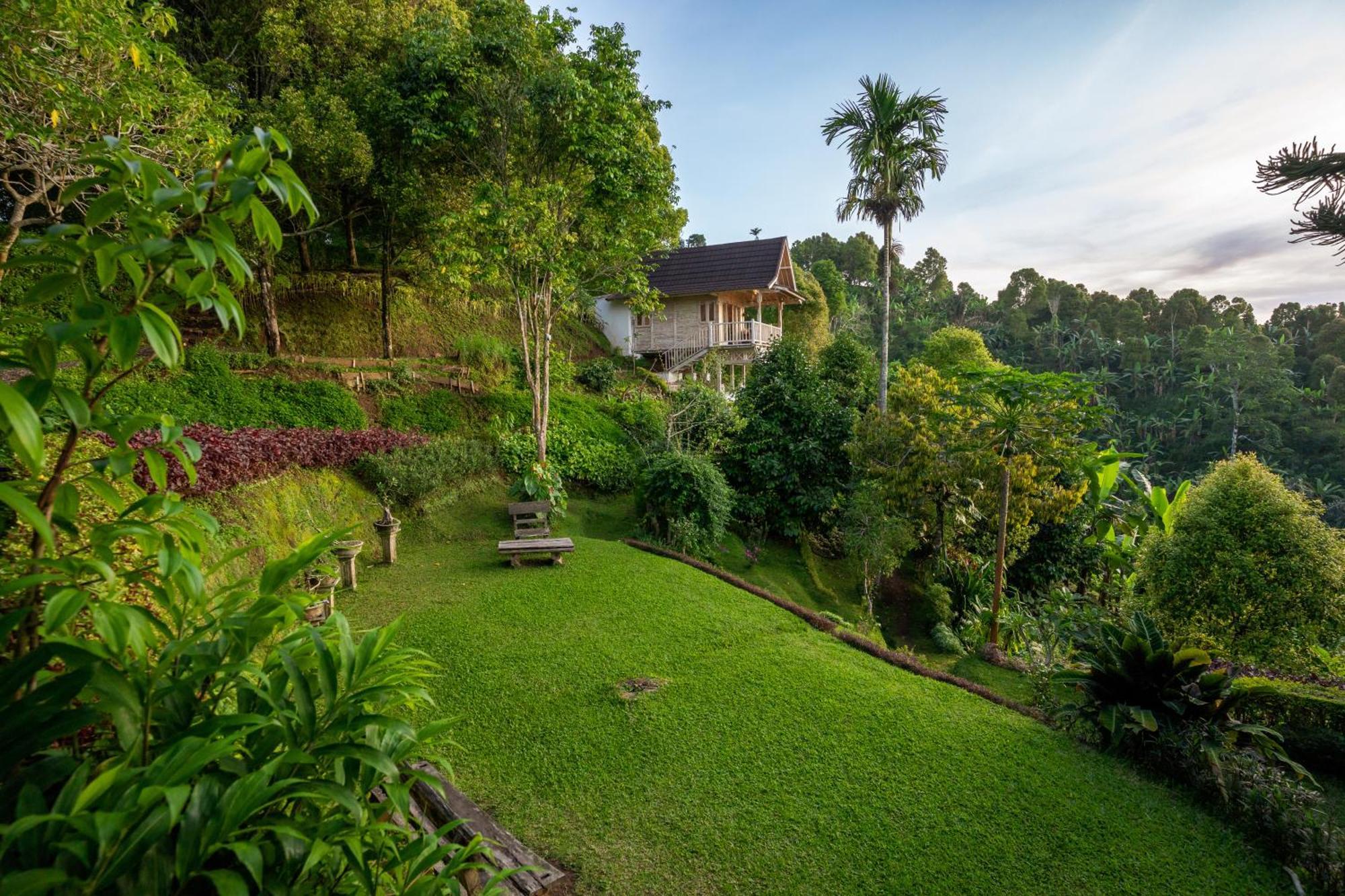 Bed and Breakfast Garden Terrace Bali à Gobleg  Extérieur photo