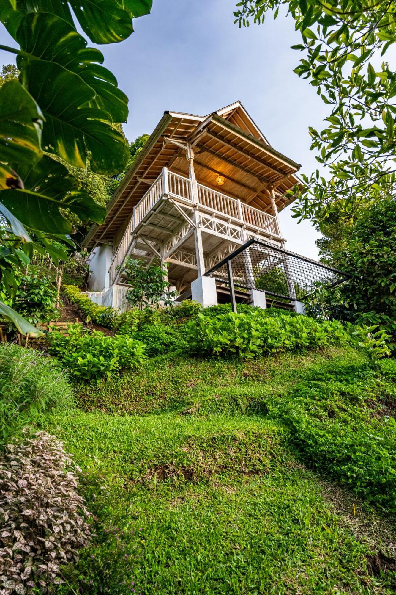 Bed and Breakfast Garden Terrace Bali à Gobleg  Extérieur photo